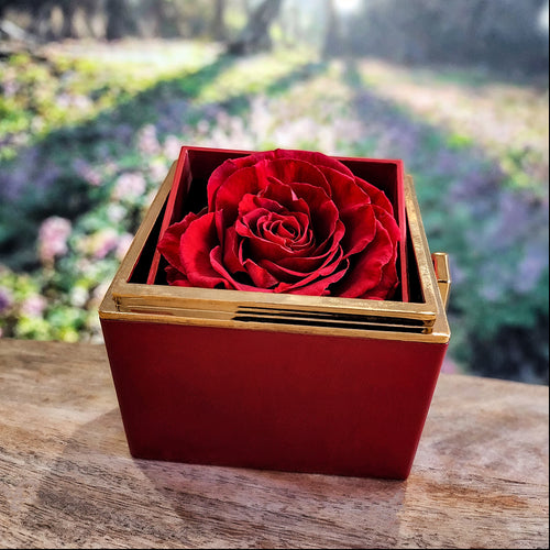 Badass Crown - Daughter Birthday Necklace with Rose Box.