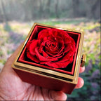 Chapters Cross - Daughter Birthday Necklace with Rose Box.